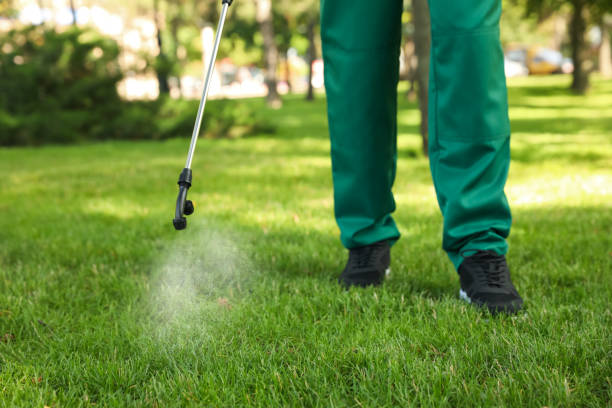 Best Wildlife Control Services  in Rmichael, CA