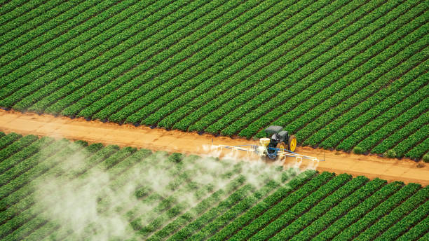Pest Control Cost in Carmichael, CA